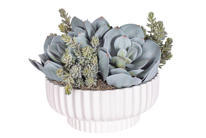 12" Wally Pot with Mixed Succulent Arrangement AR1302