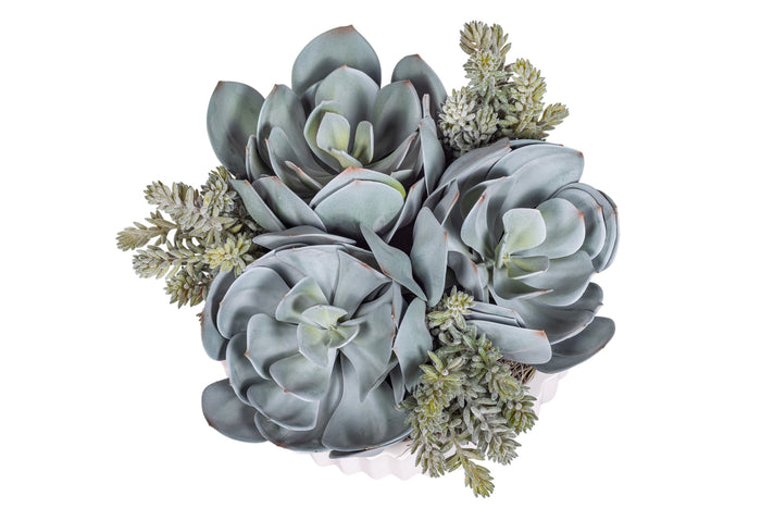 12" Wally Pot with Mixed Succulent Arrangement AR1302