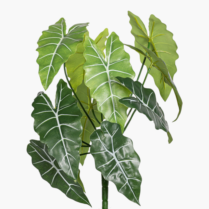 14.5" Alocasia Bush Stem - UV Treated ST1240
