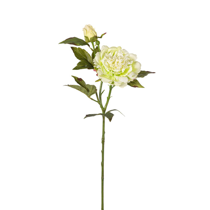 22" Green Peony Stem - Real Touch FL1122