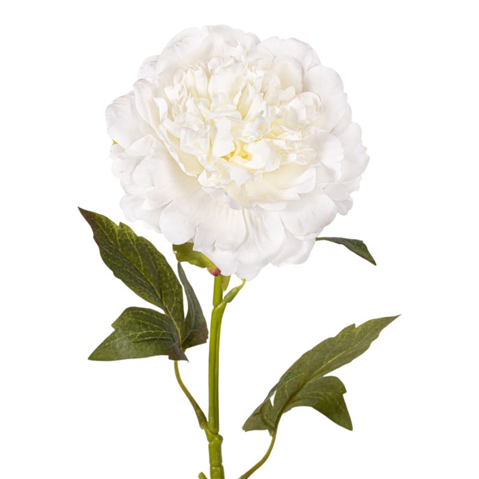 22" White Peony Stem - Real Touch FL1121