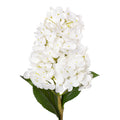 28" White Cone Hydrangea Stem - Real Touch FL1107