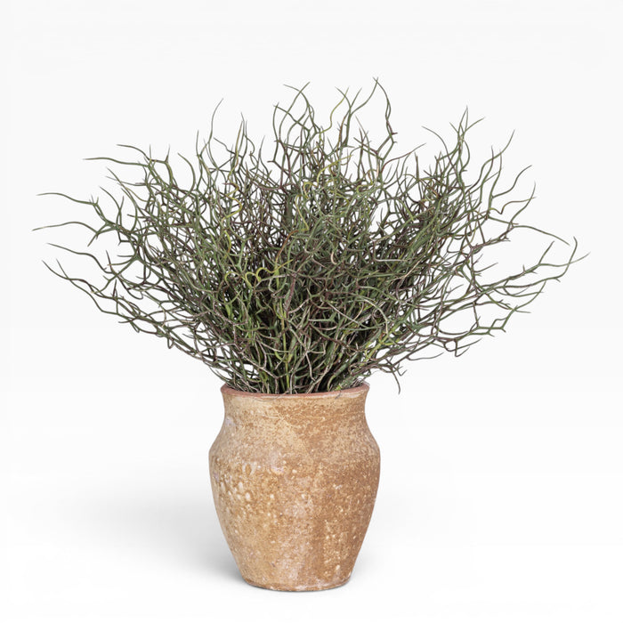 6" Titan Pot with Grass Arrangement AR1516