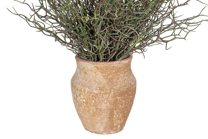 6" Titan Pot with Grass Arrangement AR1516