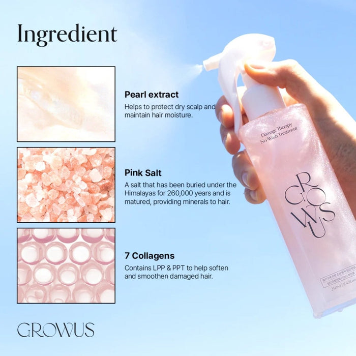 Growus Damage Therapy No - wash Treatment 250ml | La Cosmetique