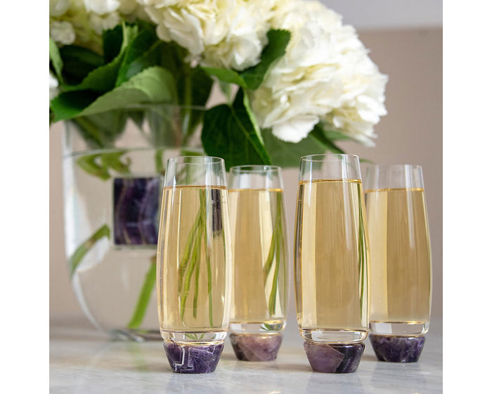 Anna by RabLabs Elevo Champagne Glasses – Modern Champagne Glasses