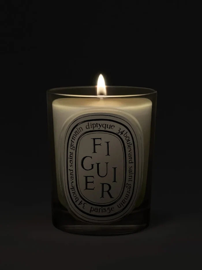 Figuier (Fig Tree) - Classic Candle