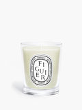 Figuier (Fig Tree) - Classic Candle