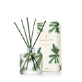 frasier fir pine petite diffus