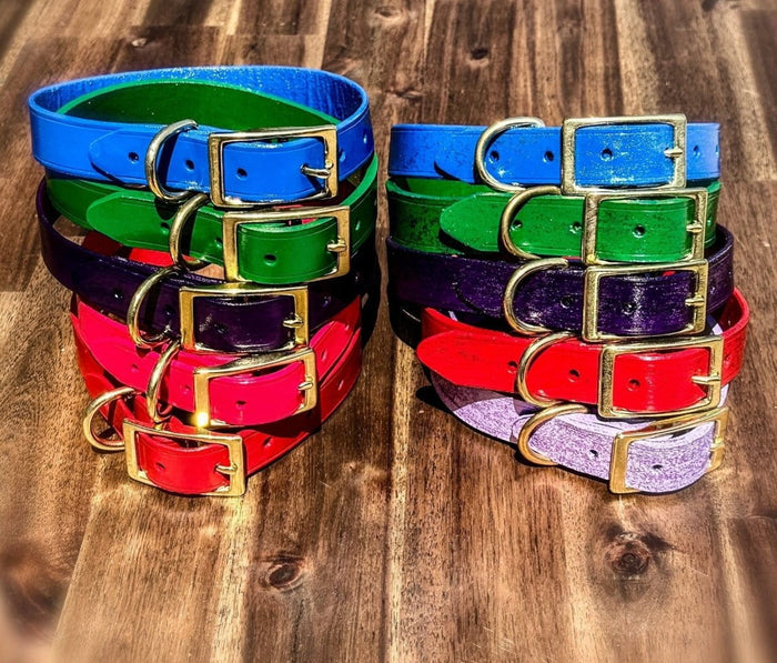 Dogtraining101 Hand Painted Leather - Glitter Red