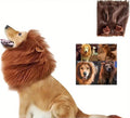 Dogtraining101 Retail Super Store Large Lions Mane for Dog