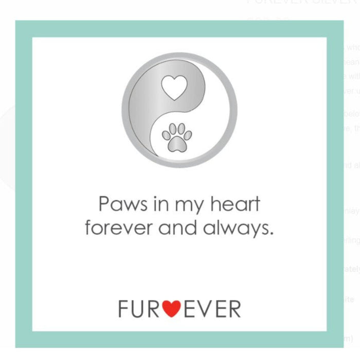 LOLA - Furever Silver