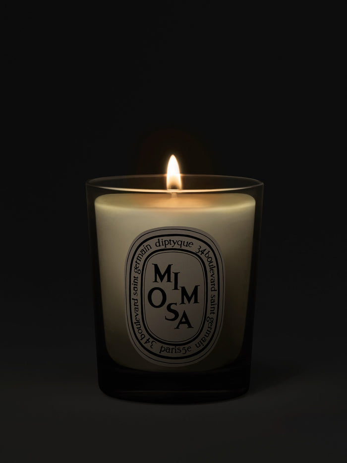 Mimosa - Small Candle