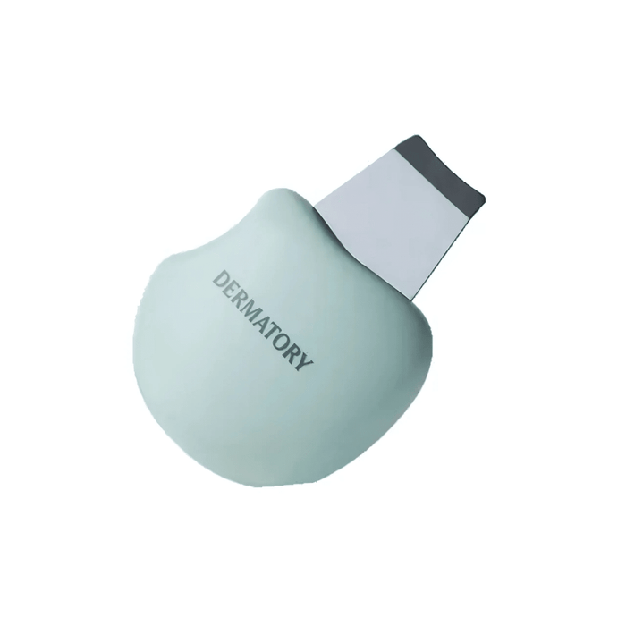 Dermatory Salicinic Pore Trouble Cleaner 1pc | La Cosmetique