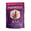 Tilly Boost Airplant Fertilizer