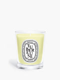 Tubéreuse (Tuberose) - Classic Candle