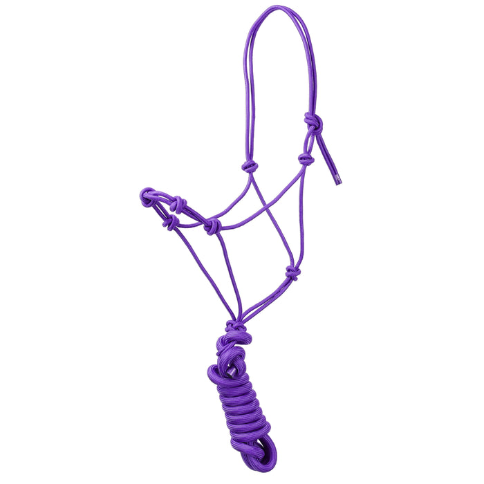 Yearling Knot Training Halter